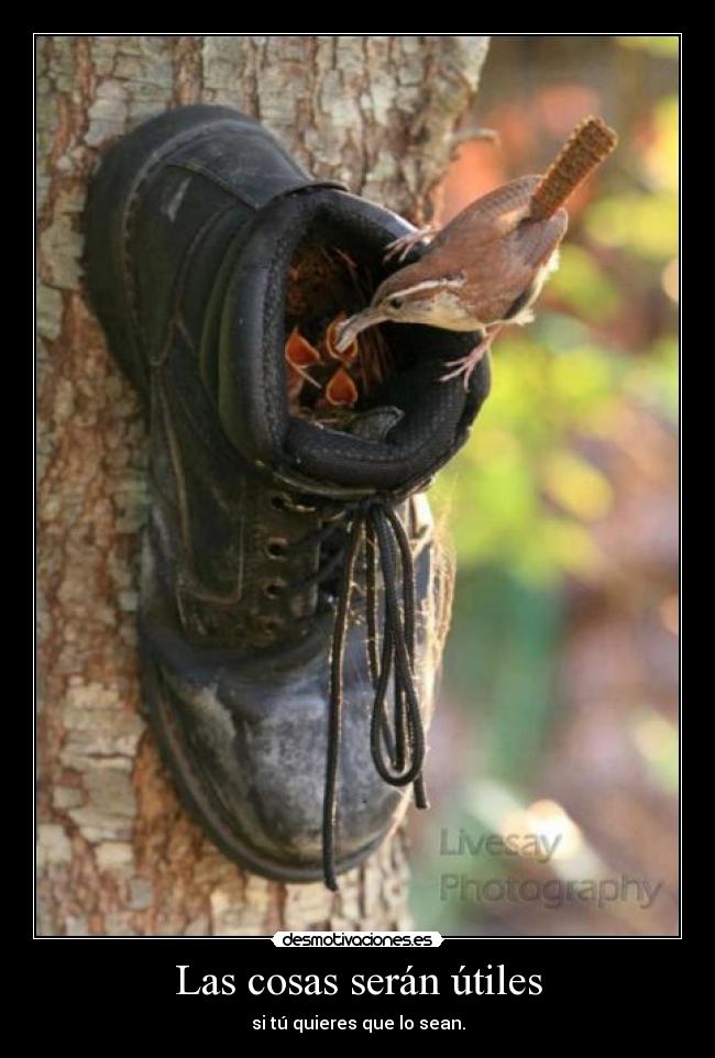 carteles raton estaba haciendo surf cable vino una tortuga voladora comio desmotivaciones