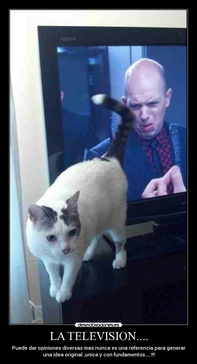 LA TELEVISION.... - Puede dar opiniones diversas mas nunca es una referencia para generar
una idea original ,unica y con fundamentos.....!!!