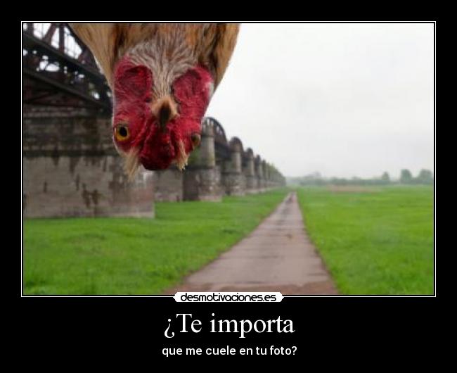 ¿Te importa -