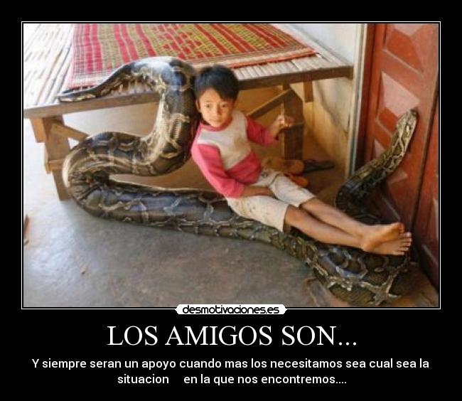 LOS AMIGOS SON... - Y siempre seran un apoyo cuando mas los necesitamos sea cual sea la
situacion en la que nos encontremos....