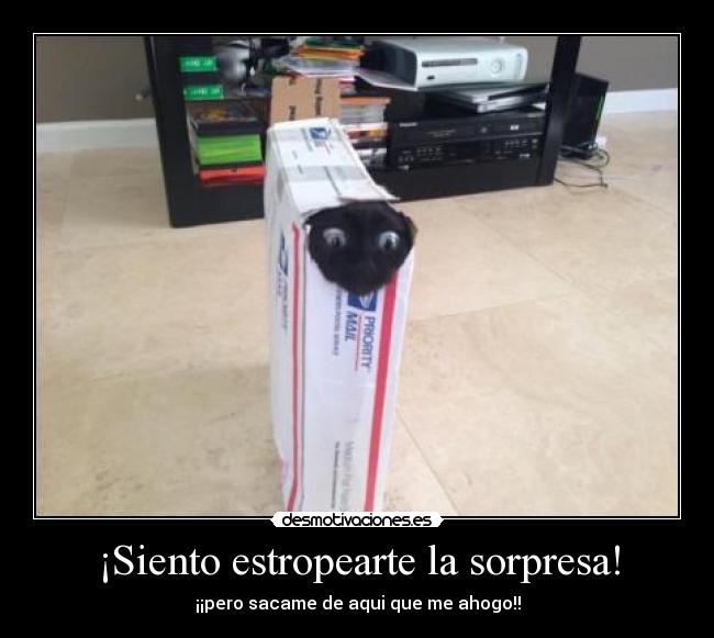 ¡Siento estropearte la sorpresa! - 