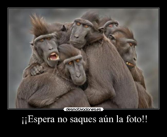 ¡¡Espera no saques aún la foto!! - 