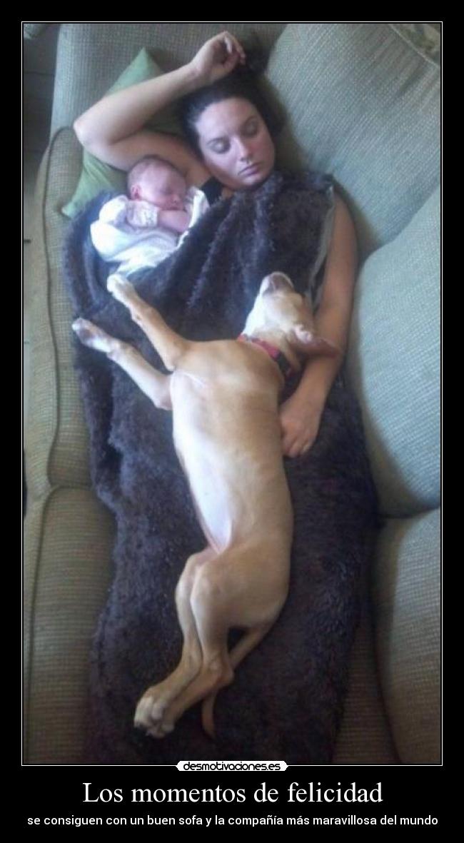 Los momentos de felicidad - se consiguen con un buen sofa y la compañía más maravillosa del mundo