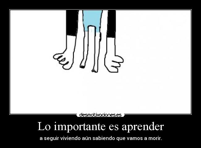 Lo importante es aprender -