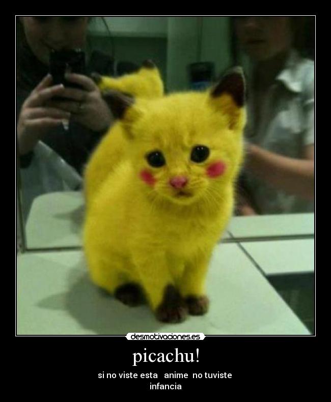 picachu! -