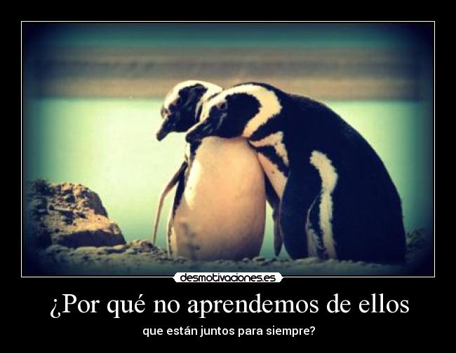 ¿Por qué no aprendemos de ellos -