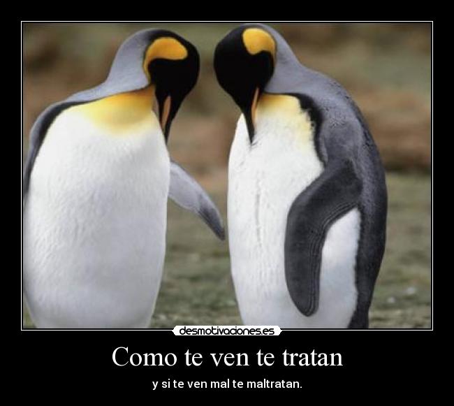 Como te ven te tratan - 