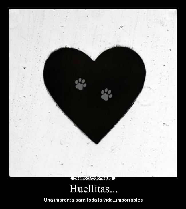 carteles huellitas desmotivaciones