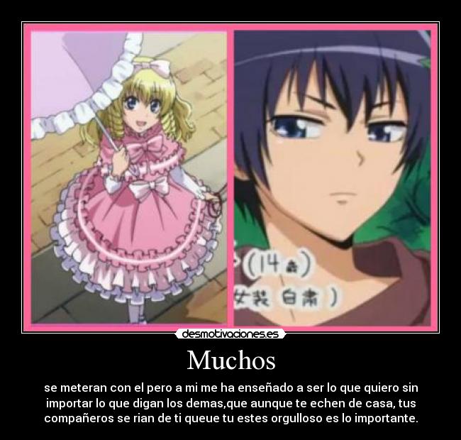 carteles aoi chan kaichou maid sama desmotivaciones