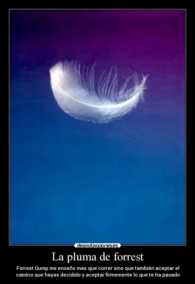 La pluma de forrest - 