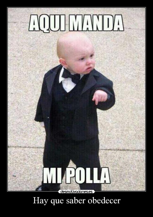 carteles obedece polla desmotivaciones