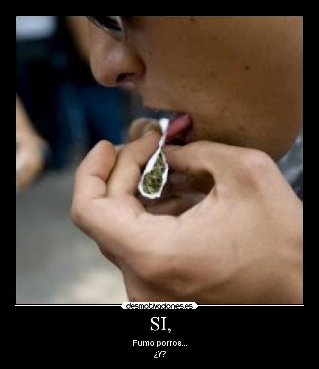 SI, - Fumo porros...
¿Y?