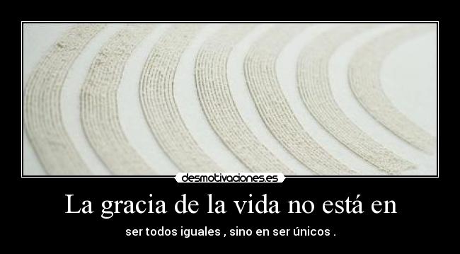 carteles vida ss1996 desmotivaciones