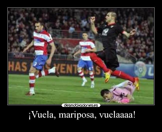 ¡Vuela, mariposa, vuelaaaa! -
