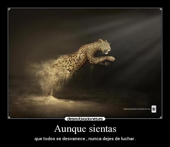 Aunque sientas - que todos se desvanece , nunca dejes de luchar .