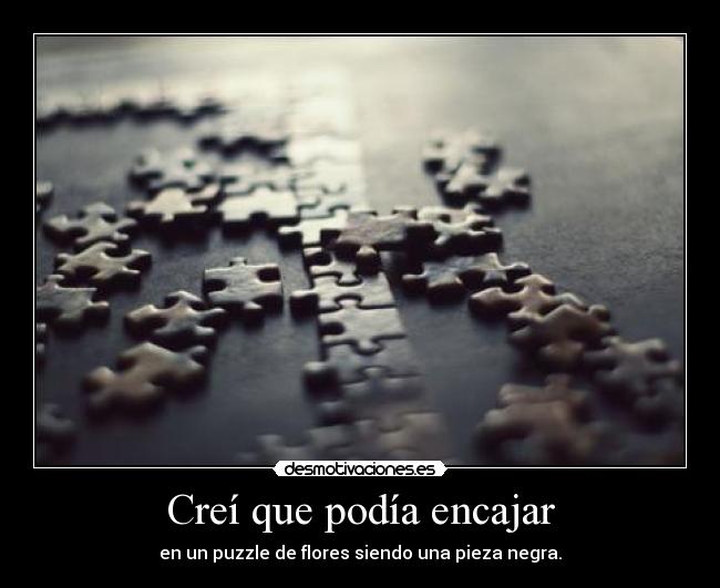 Creí que podía encajar -