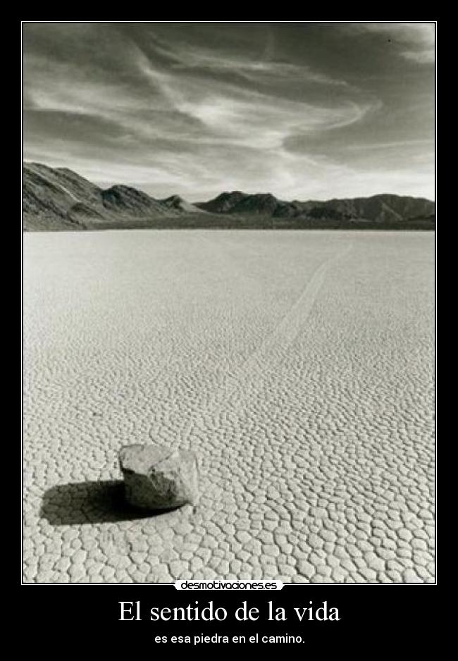 El sentido de la vida - 