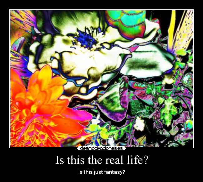 Is this the real life? - 