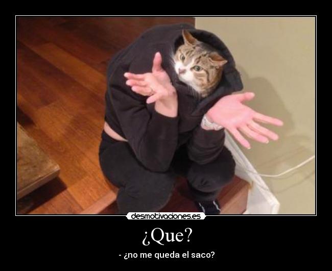 ¿Que? - - ¿no me queda el saco?