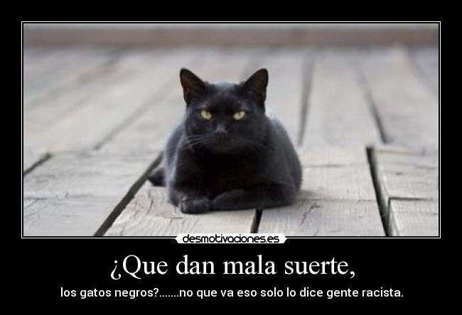 carteles son muy lindos desmotivaciones