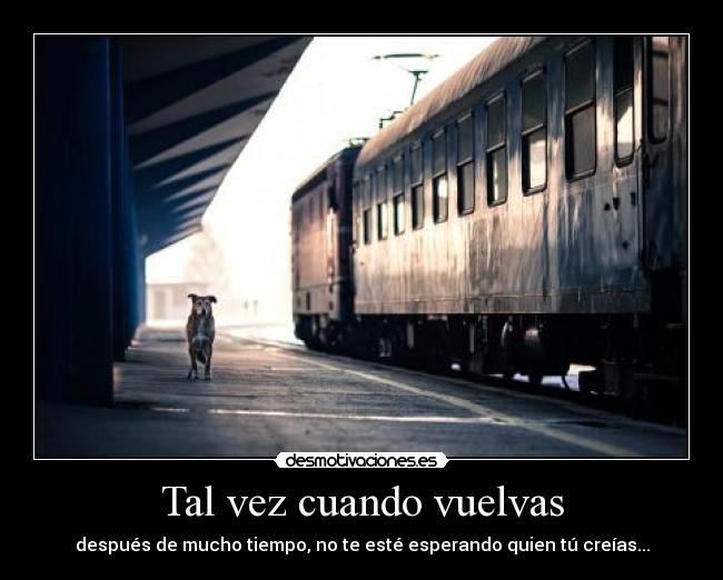 Tal vez cuando vuelvas -