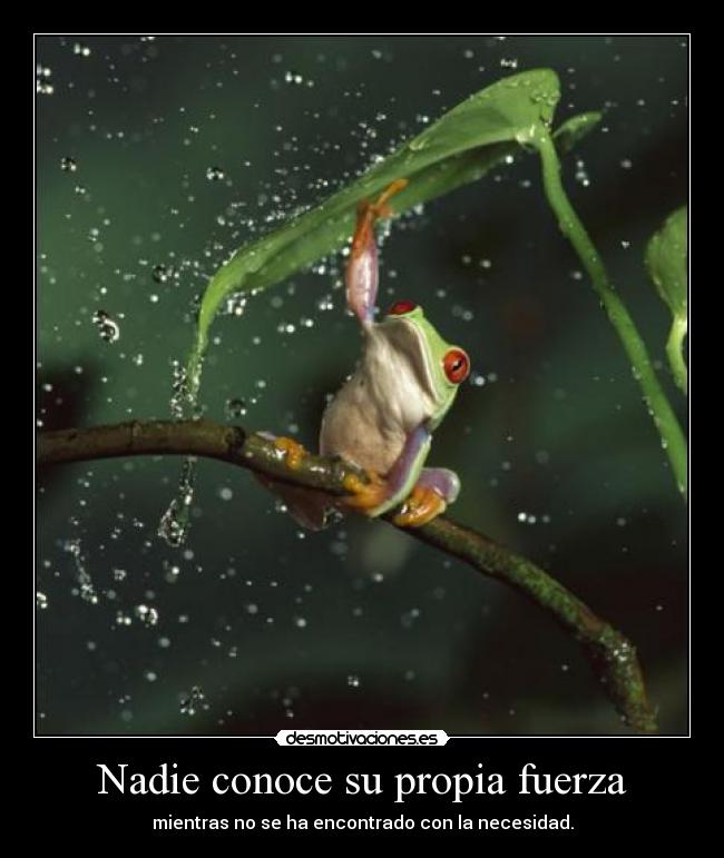 Nadie conoce su propia fuerza - mientras no se ha encontrado con la necesidad.