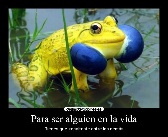 Para ser alguien en la vida - Tienes que resaltaste entre los demás