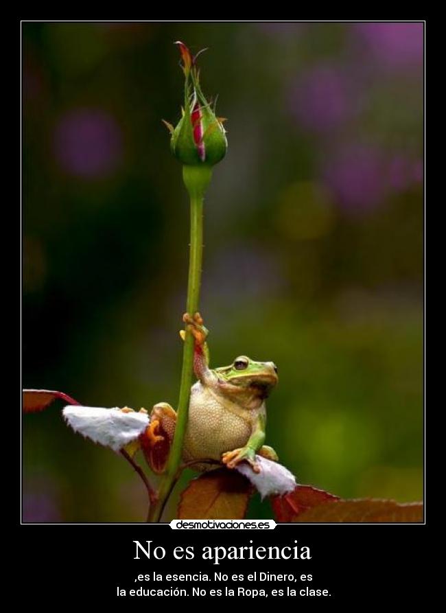 No es apariencia - ,es la esencia. No es el Dinero, es
la educación. No es la Ropa, es la clase.