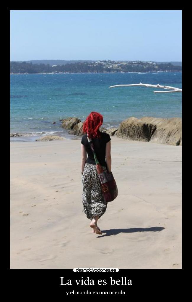 carteles vida andres92 cartel rasta veinticinco quiero princi rastafari desmotivaciones