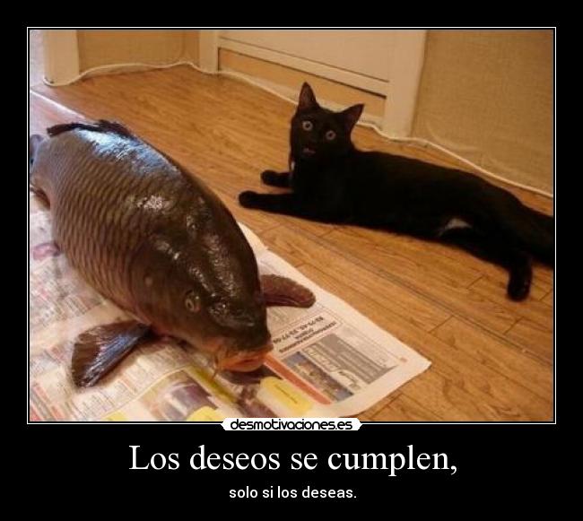 Los deseos se cumplen, - solo si los deseas.
