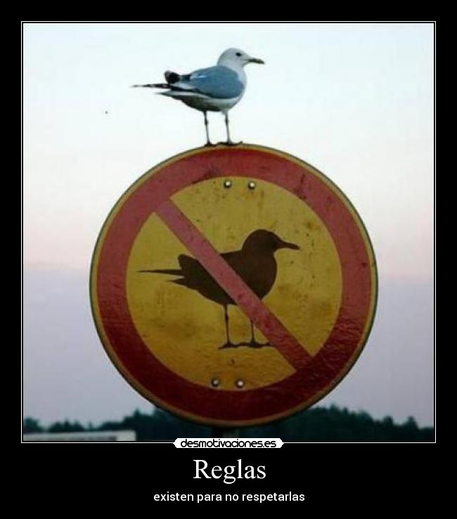Reglas - 