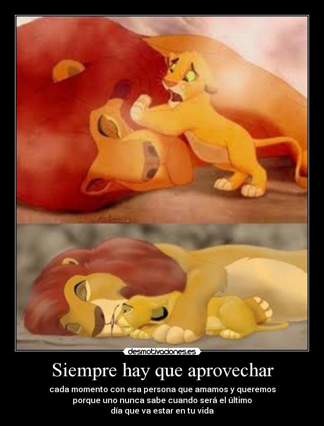 Siempre hay que aprovechar - cada momento con esa persona que amamos y queremos
porque uno nunca sabe cuando será el último
día que va estar en tu vida