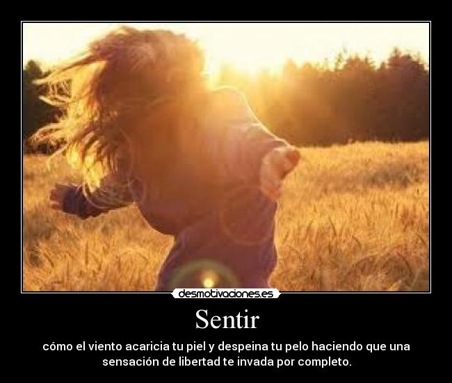 Sentir - 