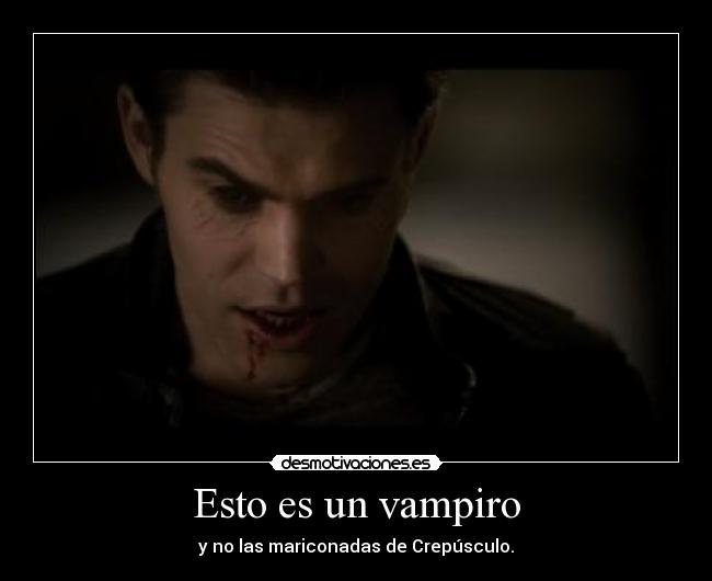 carteles stefan crepusculo thevampirediaries desmotivaciones