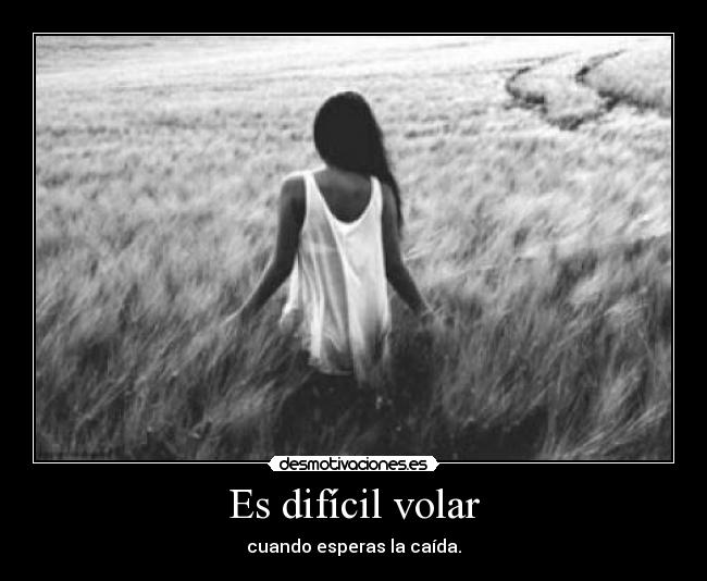 Es difícil volar - cuando esperas la caída.