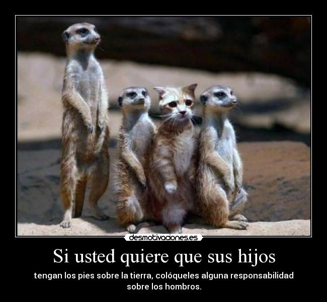 Si usted quiere que sus hijos - tengan los pies sobre la tierra, colóqueles alguna responsabilidad sobre los hombros.