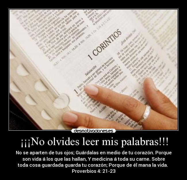 ¡¡¡No olvides leer mis palabras!!! - No se aparten de tus ojos; Guárdalas en medio de tu corazón. Porque
son vida á los que las hallan, Y medicina á toda su carne. Sobre
toda cosa guardada guarda tu corazón; Porque de él mana la vida.
Proverbios 4: 21-23