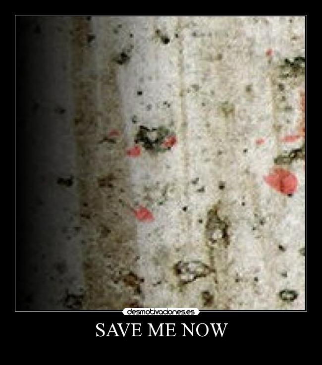 SAVE ME NOW - 