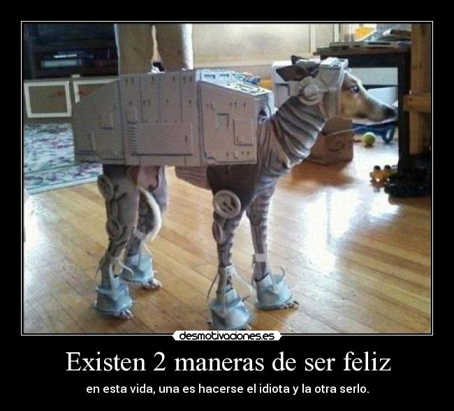 Existen 2 maneras de ser feliz -