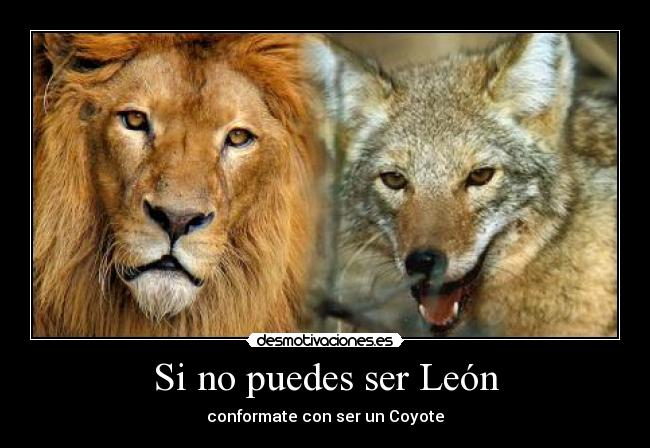 Si no puedes ser León - 