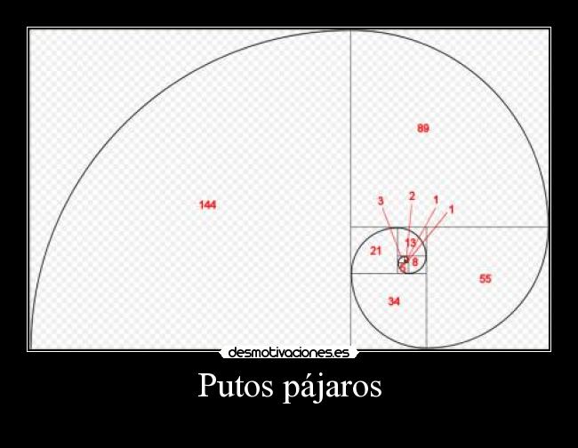 Putos pájaros -