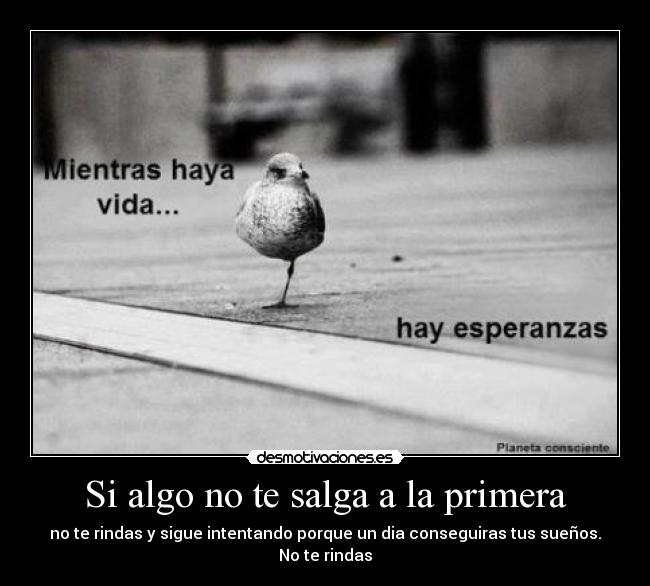 carteles rindas desmotivaciones