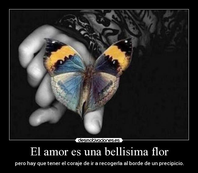 El amor es una bellisima flor - 