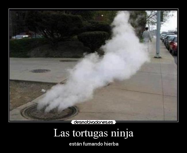 Las tortugas ninja -