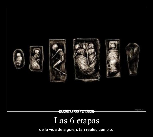 Las 6 etapas - de la vida de alguien, tan reales como tu.