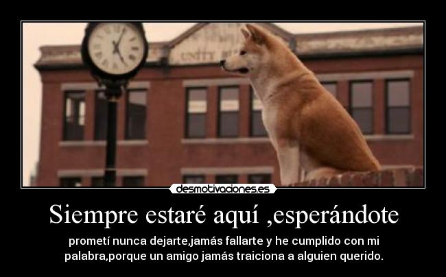 Siempre estaré aquí ,esperándote -