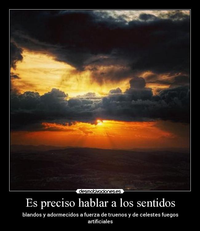 Es preciso hablar a los sentidos - 