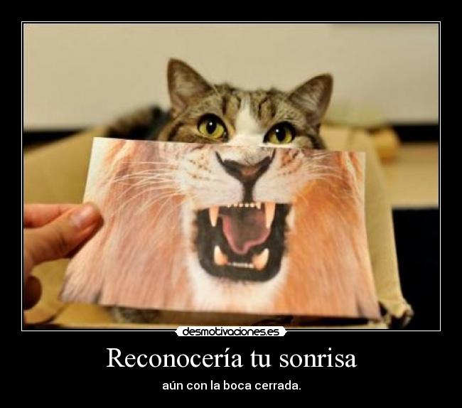 carteles sonrisa sonrisa boca cerrada desmotivaciones