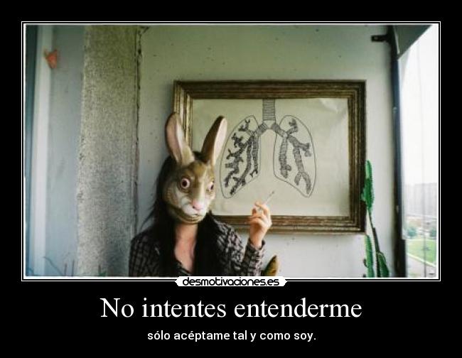 No intentes entenderme - 