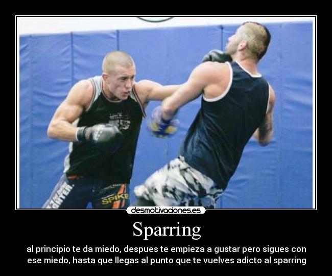 Sparring - 
